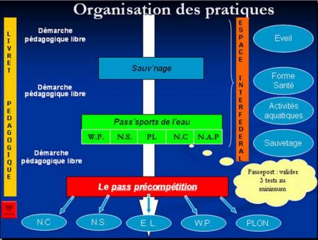  Comment doivent �voluer nos �coles de natation 